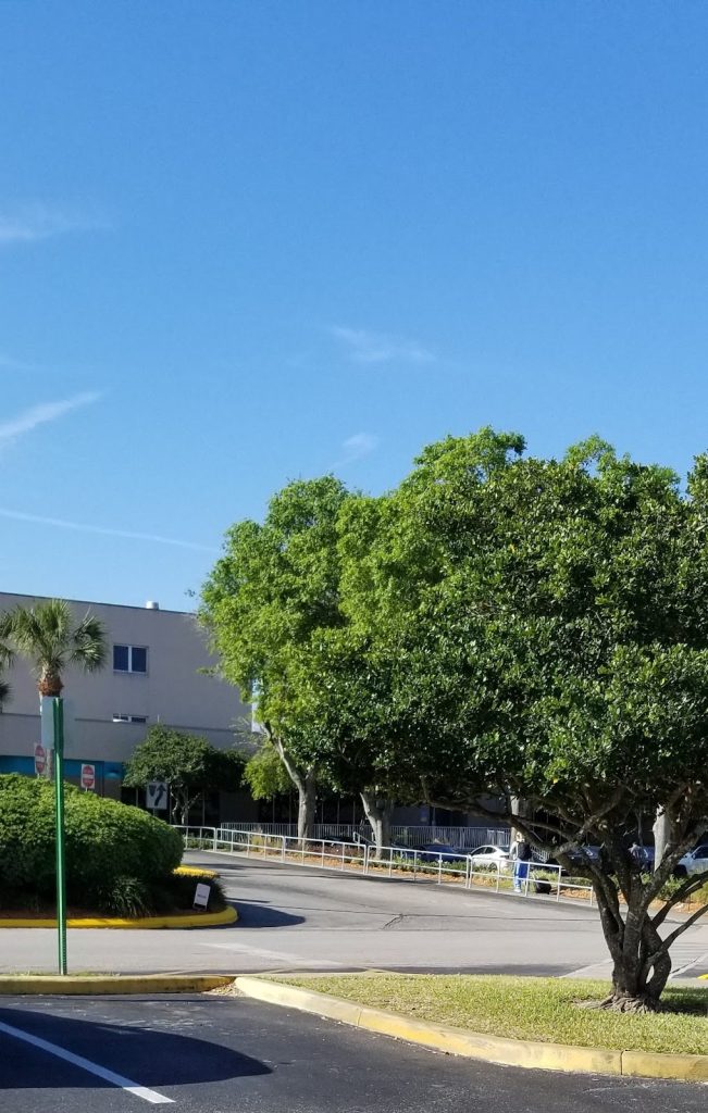 Bayonet Point Medical photo 2