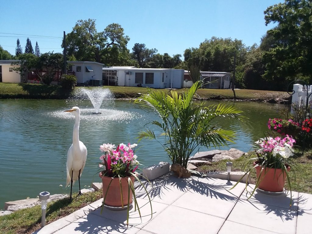 Donovans Park Co-Op photo 1